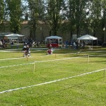 festa-dello-sport-12
