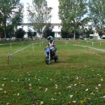 festa-dello-sport-21