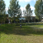 festa-dello-sport-68