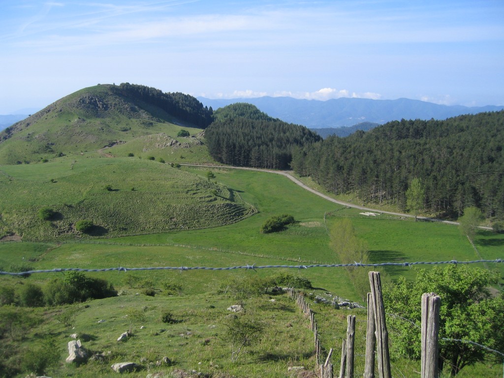 Panoramica