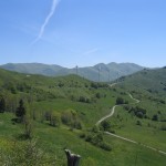 Panoramica (2)