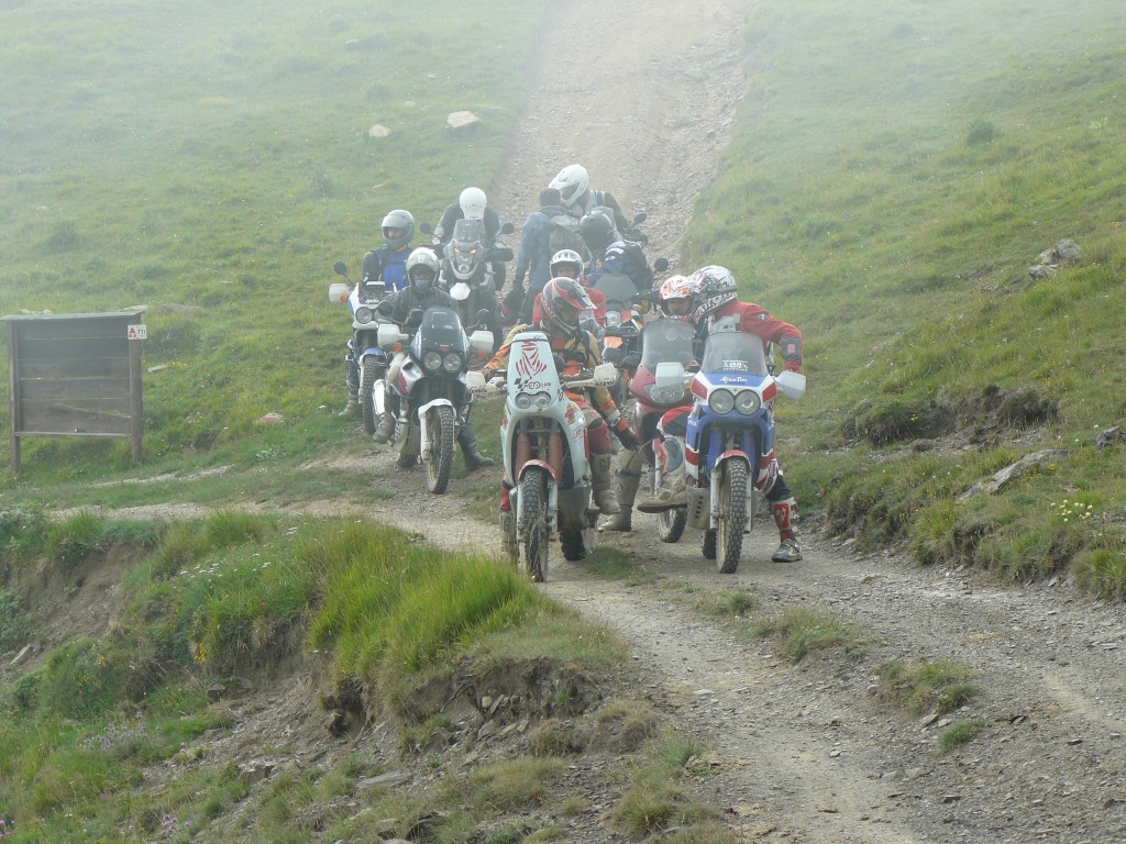 Gruppo Selvaggio