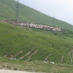 panorama..