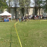 Festa dello Sport,25-09-11 (11)