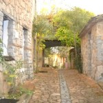 Monte Turri