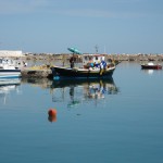 DSC00079