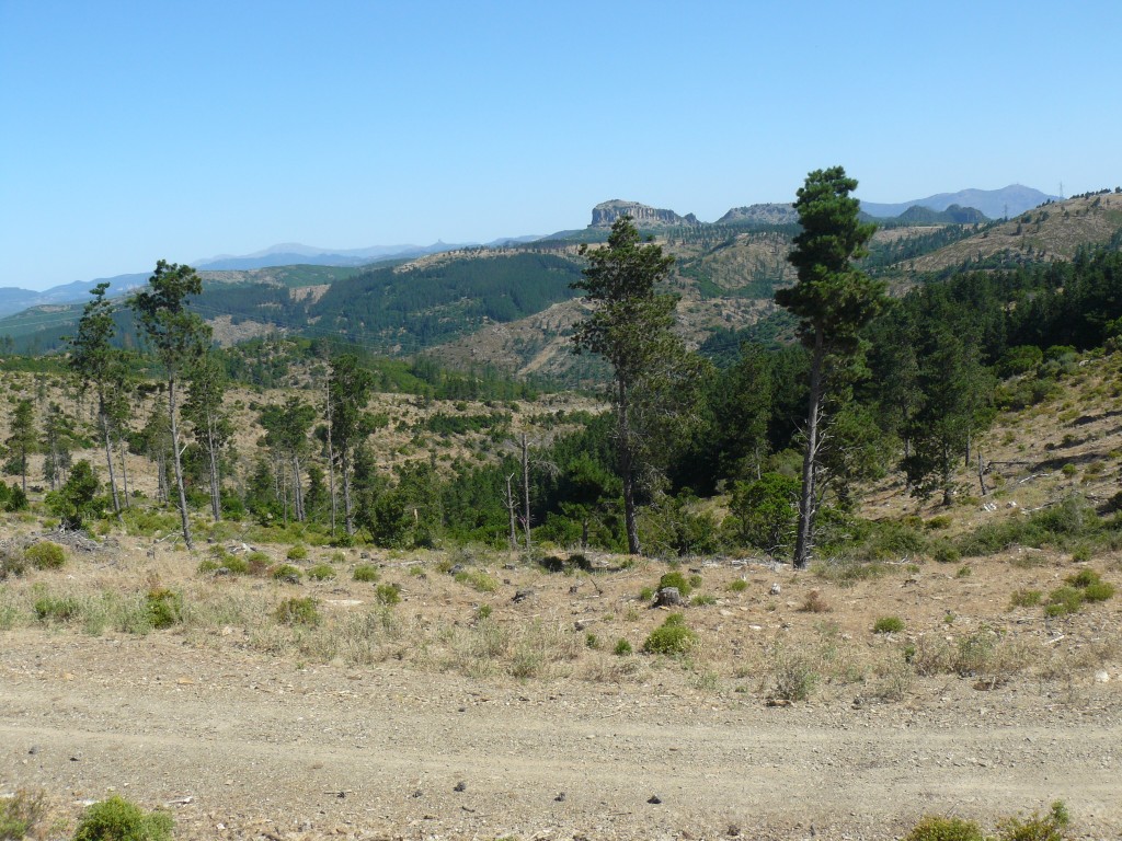 Sardegna Rallye Race 2012 (232)