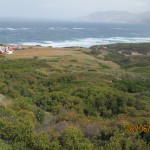 IMG_0487