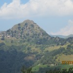 IMG_0777
