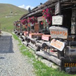 IMG_0809