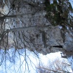 IMG_0986