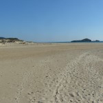 P1020992